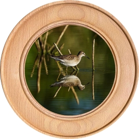 Schützenscheibe, Ehrenscheibe Bruchwasserläufer