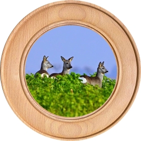 Schützenscheibe, Ehrenscheibe Rehe im Feld