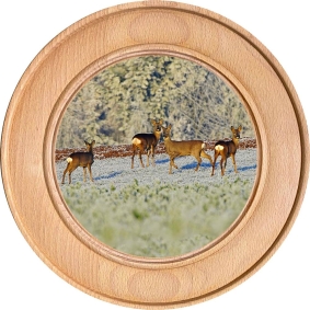 Schützenscheibe, Ehrenscheibe Rehe im Winter