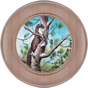 Schützenscheibe, Ehrenscheibe Baummarder