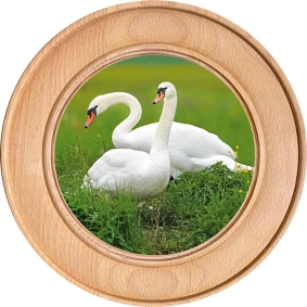 Schützenscheibe, Ehrenscheibe Schwäne im Gras